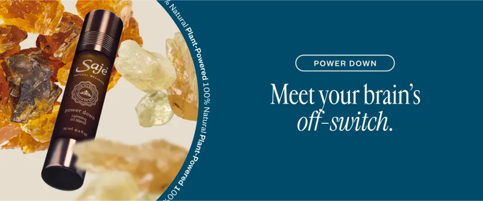 POWER DOWN  Meet your brain’s off-switch.