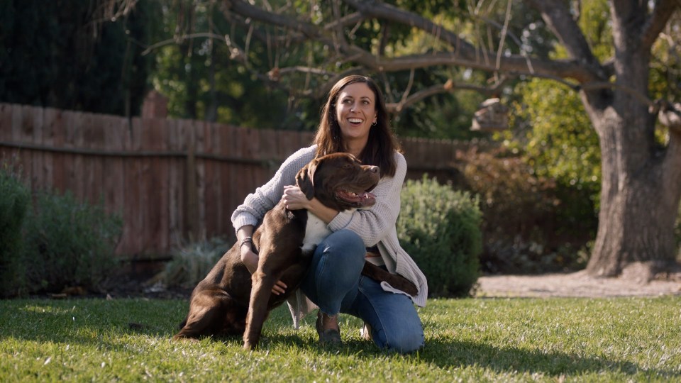 PetArmor Advanced 2, Small/Large