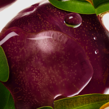 Plum Plum