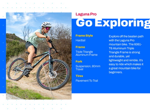 Laguna pro clearance mountain bike