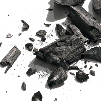 Binchotan Charcoal