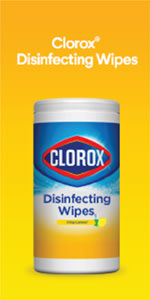 Clorox Disinfecting Wipes 225-Count, Bleach Free Cleaning Wipes (Pack of 3)  & Clorox Disinfecting Wipes to Go, 25 Count, Fresh Scent Bundle