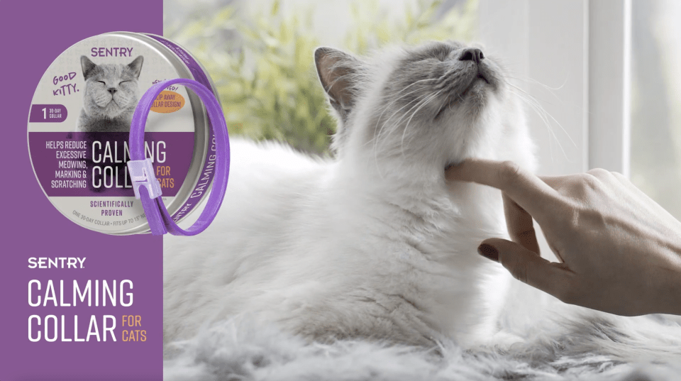 calming collar sentry