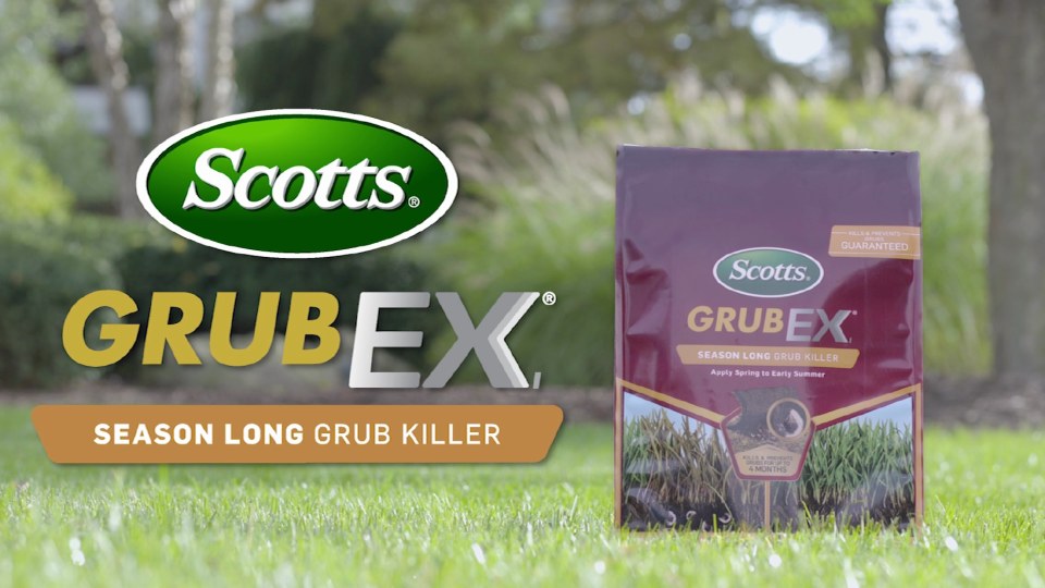 Scotts GrubEx Garden Granular Insecticide, Lawn Poison, Grub and Pest