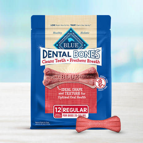 BLUE Dental Bones