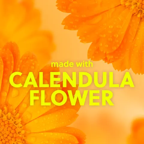 CALENDULA FLOWER