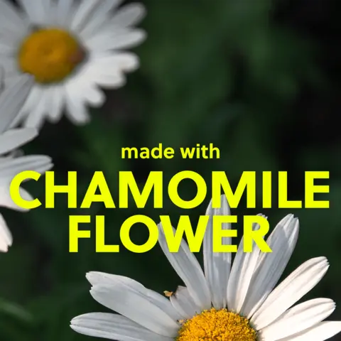 CHAMOMILE FLOWER