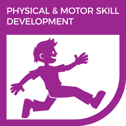 Physical + Motor Skills