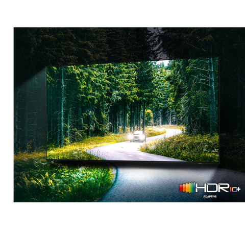 Spectacularly vibrant colors bring the director's vision to life - Quantum HDR 32x Spectacularly vibrant colors bring the director's vision to life - Quantum HDR 32x