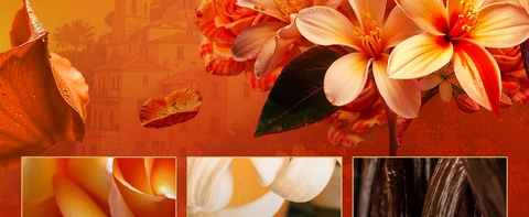 Amalfi Love Bloom EDP