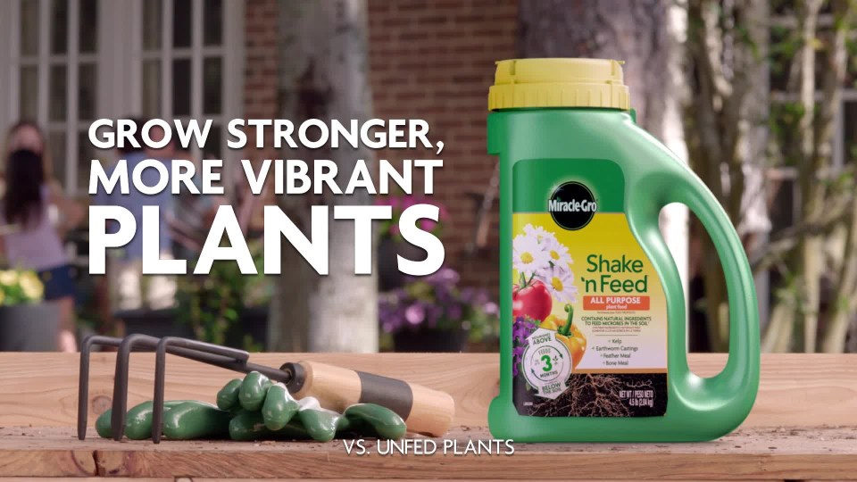 thumbnail video image 2 of Miracle-Gro Shake 'N Feed All Purpose Plant Food, Use In Ground and Containers, 4.5 lbs., 2 of 13