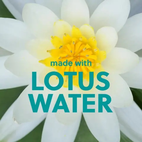 LOTUS WATER