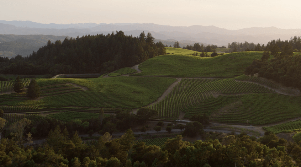 thumbnail video image 2 of Juggernaut Hillside Cabernet Sauvignon California Red Wine, 750 ml Glass Bottle, 14.5% ABV, 2 of 7