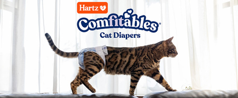 Cat diapers walmart discount