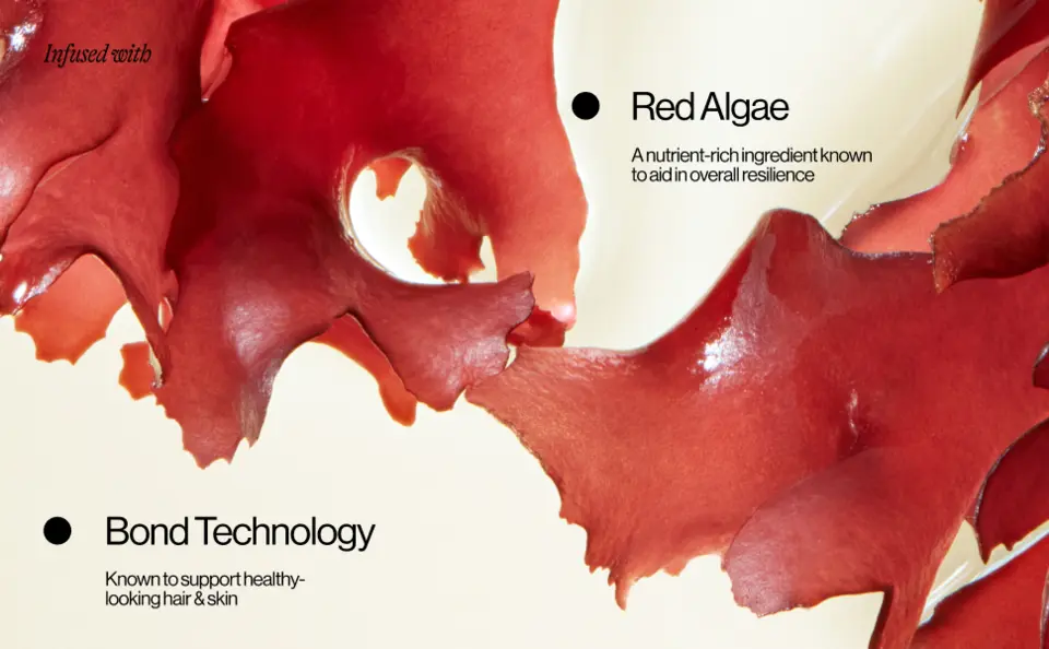Infused with red algae and bond technology