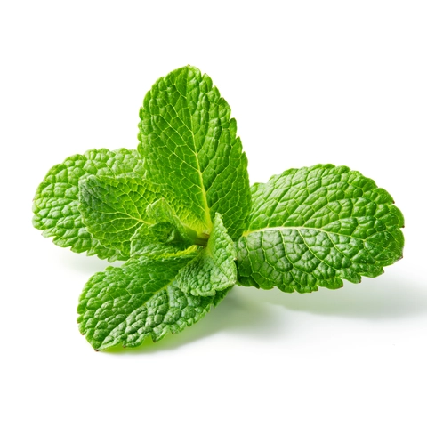 Peppermint