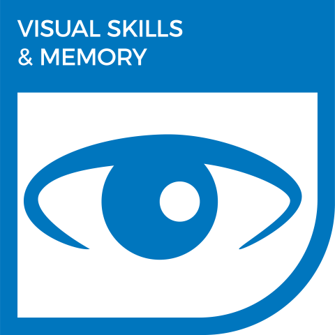 Visual Skills + Memory