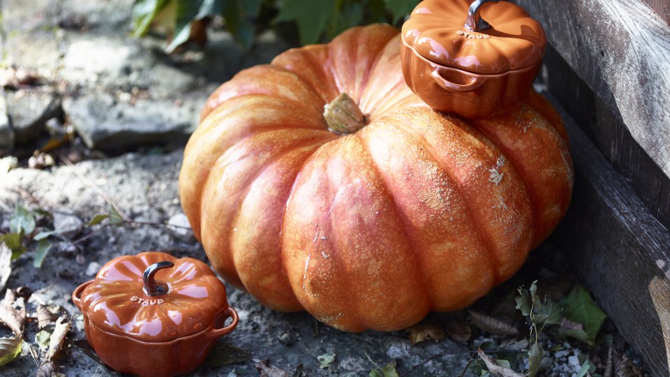 thumbnail video image 2 of Staub Ceramic 16-oz Petite Artichoke Cocotte - Basil, 2 of 6