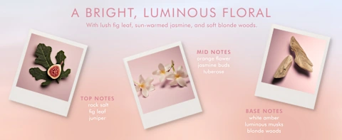 Fragrance notes display with fig, jasmine flowers, and wood showing top, mid, and base notes on soft pink background