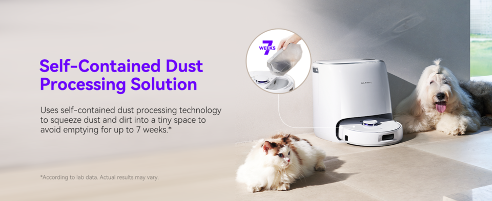 Self-contained dust process