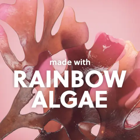 RAINBOW ALGAE