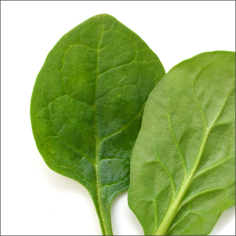 Spinach