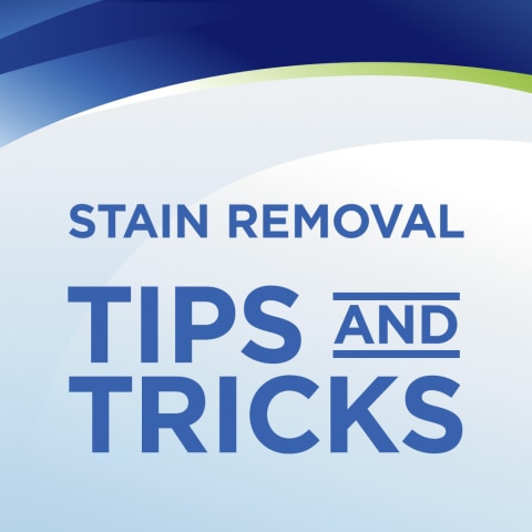 Woolite® INSTAclean® Stain Remover
