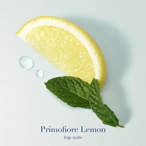 TOP NOTES: PRIMOFIORE LEMON  