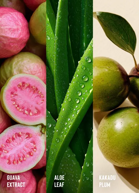 Guava Ingredients