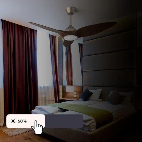 Dimmable control of ceiling fan light in the bedroom