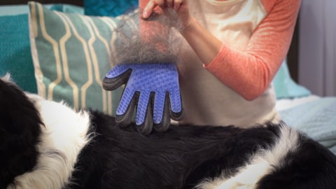 true touch glove walmart