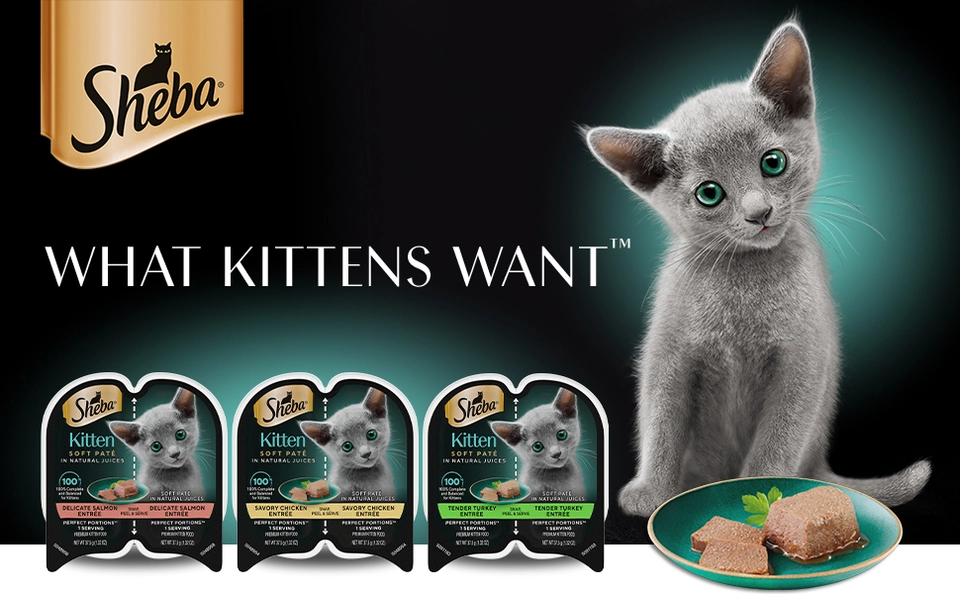 Sheba Perfect Portions Chicken and Salmon Wet Kitten Food Pate