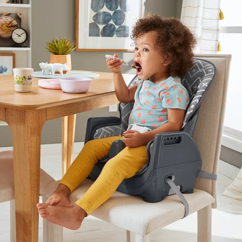 Fisher price deluxe high chair deals