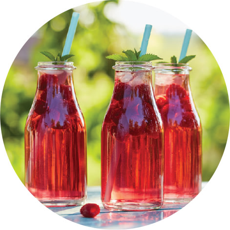 DIGESTIVE GUT HEALTH