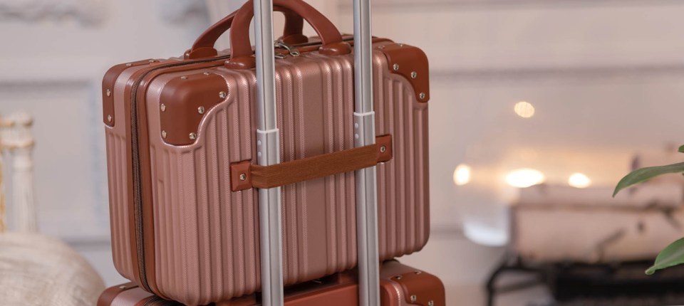 Vanity Case and Carry On Luggage Set 