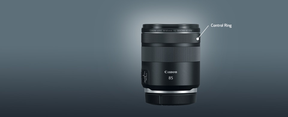 Canon RF 85mm F2 Macro IS STM - DOWNTOWN CAMERA LIMITED