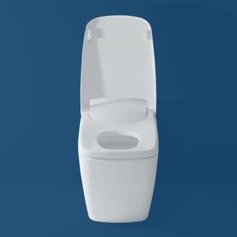 Bidet Toilet