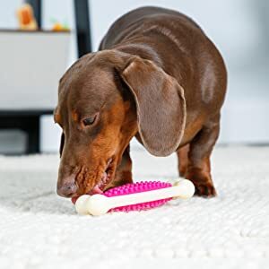 Hartz® Chew 'n Clean® Tri-Point Dog Toy - Small