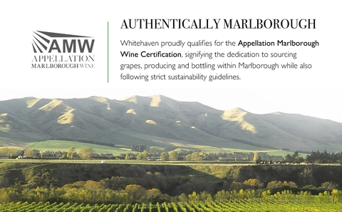 ワイン勉強 NEW ZEALAND WINE by WARREN MORAN 本 ワイン勉強 NEW ZEALAND WINE by WARREN MORAN 本 ワイン勉強