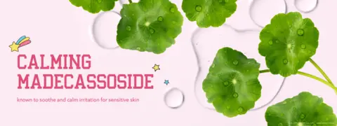 Calm &amp; Collected