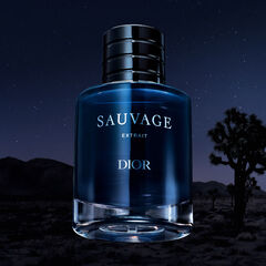 Product Sauvage Extrait image