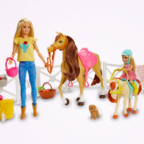 Barbie Playset with Barbie and Chelsea Dolls 2 Horses and 15 Accessories Toys R Us Canada