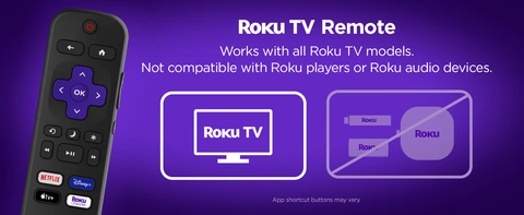 Roku TV Remote