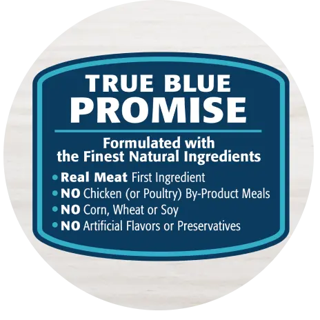 Blue Buffalo Life Protection Formula Dog Food