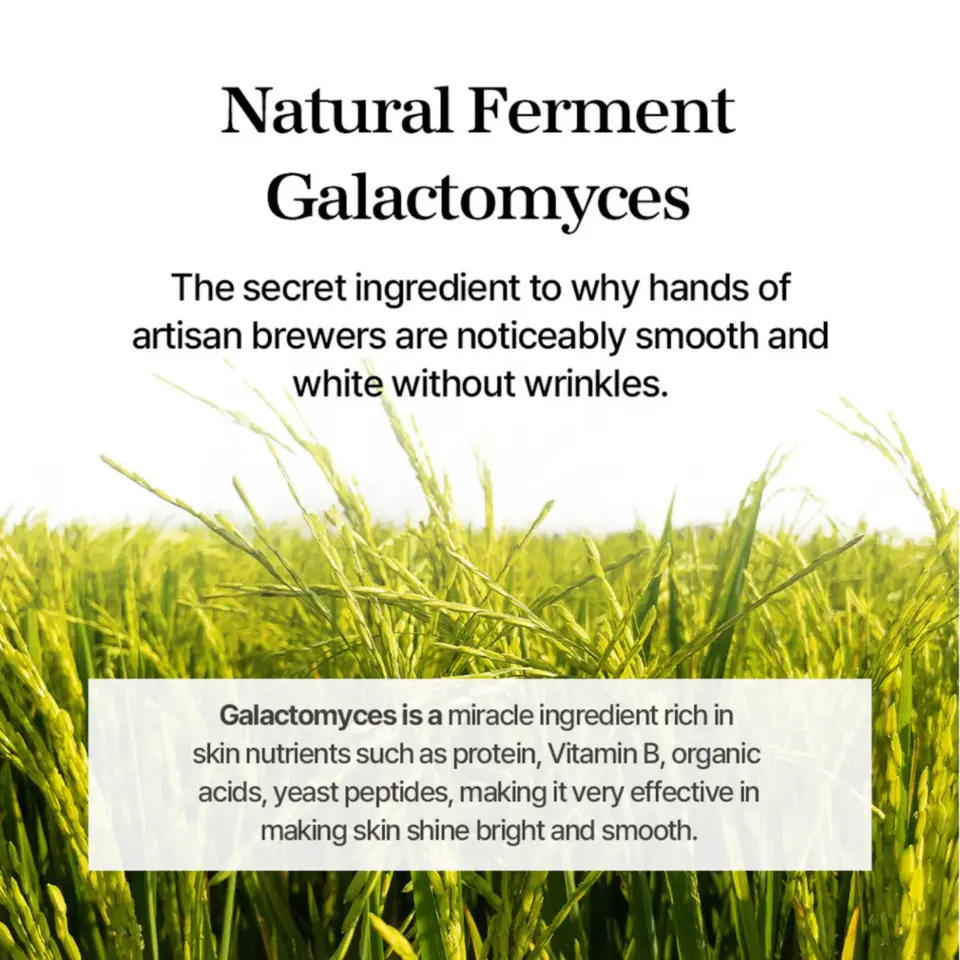 Galactomyces Ferment Essence