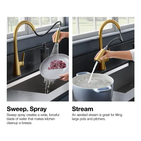 Three-Function Sprayhead