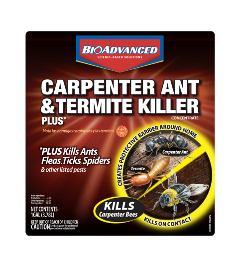 Bioadvanced Carpenter Ant Termite Killer Plus Ready To Use Battery Operated Sprayer