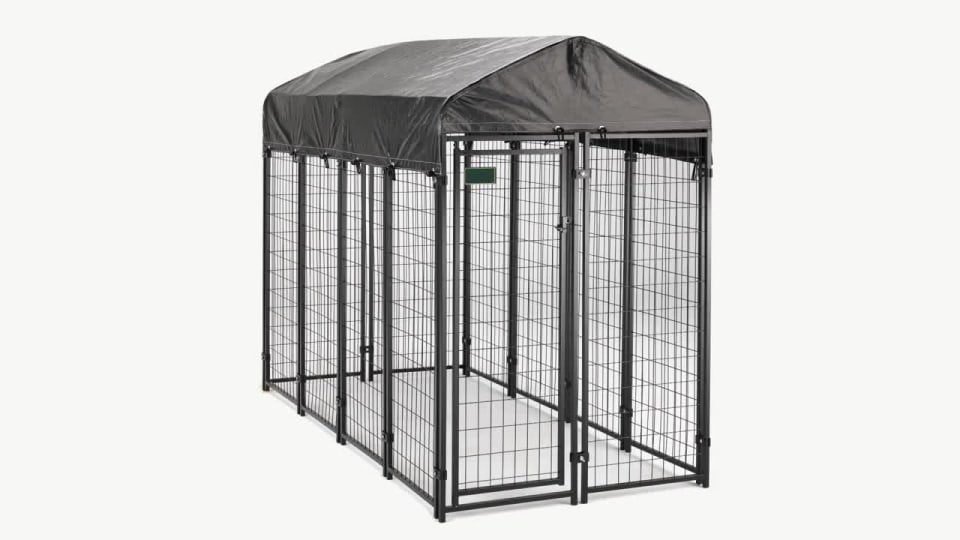 Lucky Dog 60548 8ft x 4ft x 6ft Uptown Welded Wire Outdoor Dog Kennel