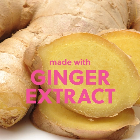 GINGER EXTRACT