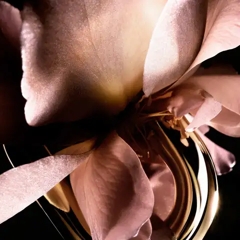 Rose Top Note